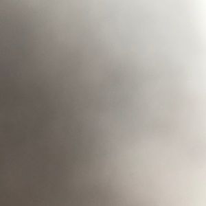 Meet your Posher, Ronald